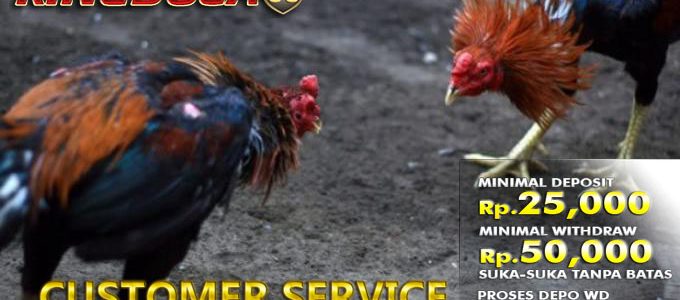 Agen Adu Ayam Online S128 Agen Adu Ayam Online S128