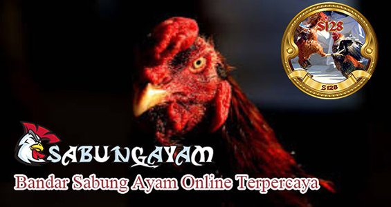 Link Alternatif Bandar Sabung Ayam Online Terpercaya Link Alternatif Bandar Sabung Ayam Online Terpercaya